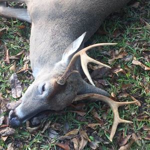 Meet your Posher, Gene